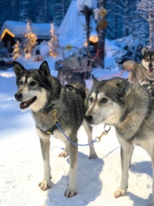 Talvipipo omalla logolla talvisessa käytössä